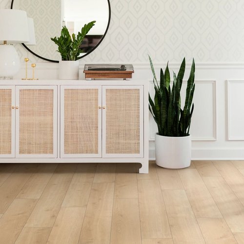 Laminate Flooring Article Example Image